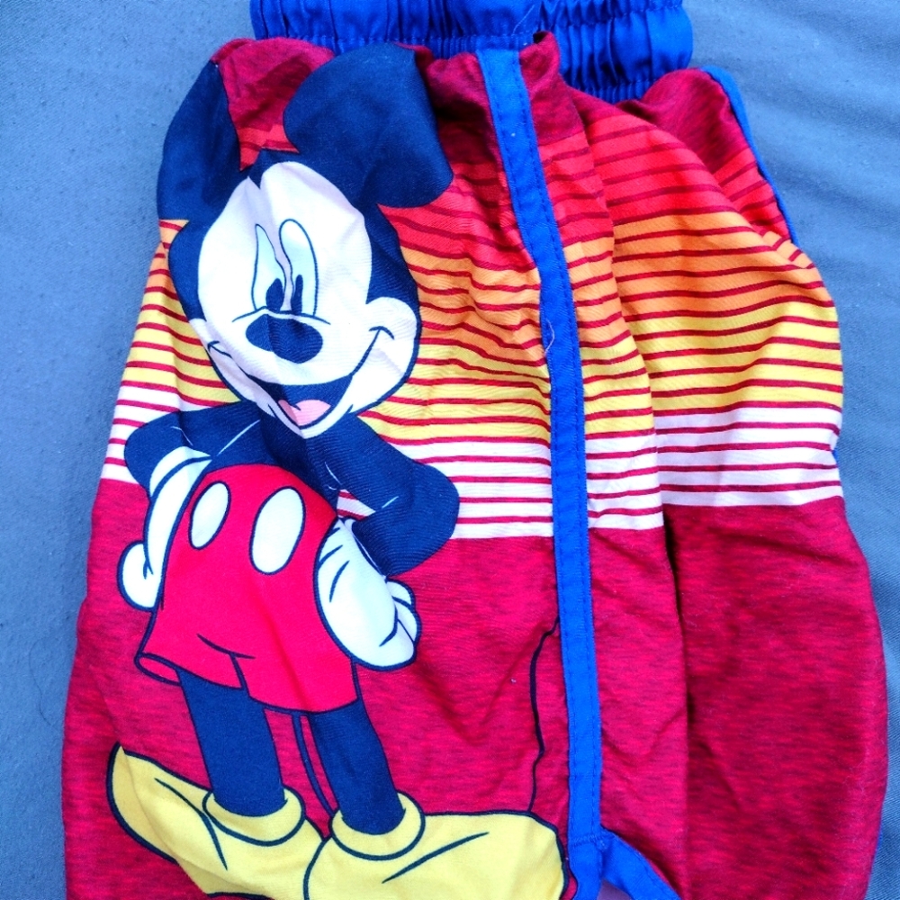 Swim Trunks